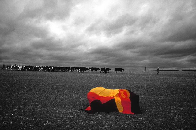 Ein Acker bei Großkröbitz, Thüringen, 18. Oktober 1991
