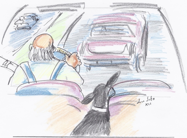 Illustration &copy; Ludwig Schopp, K&ouml;nigsfeld/Schwarzwald 2012