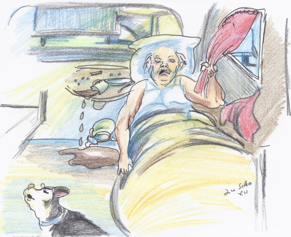 Illustration &copy; Ludwig Schopp, K&ouml;nigsfeld/Schwarzwald 2012