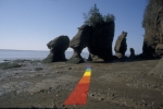 Hopewell Rocks