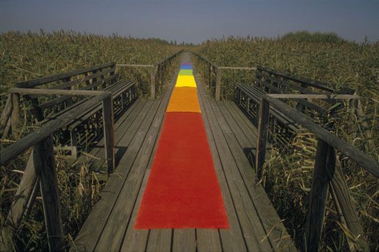 Am Federsee bei Bad Buchau, Baden-W&uuml;rttemberg, 9. September 1999