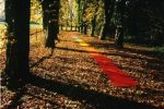 F&uuml;rstlicher Park Inzigkofen, Baden-W&uuml;rttemberg, 26. Oktober 1999
