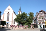 Stiftskirche St. Juliana, Mosbach, August - Oktober 2009